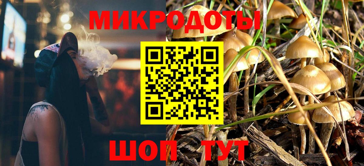 Псилоцибиновые грибы GOLDEN TEACHER Аргун