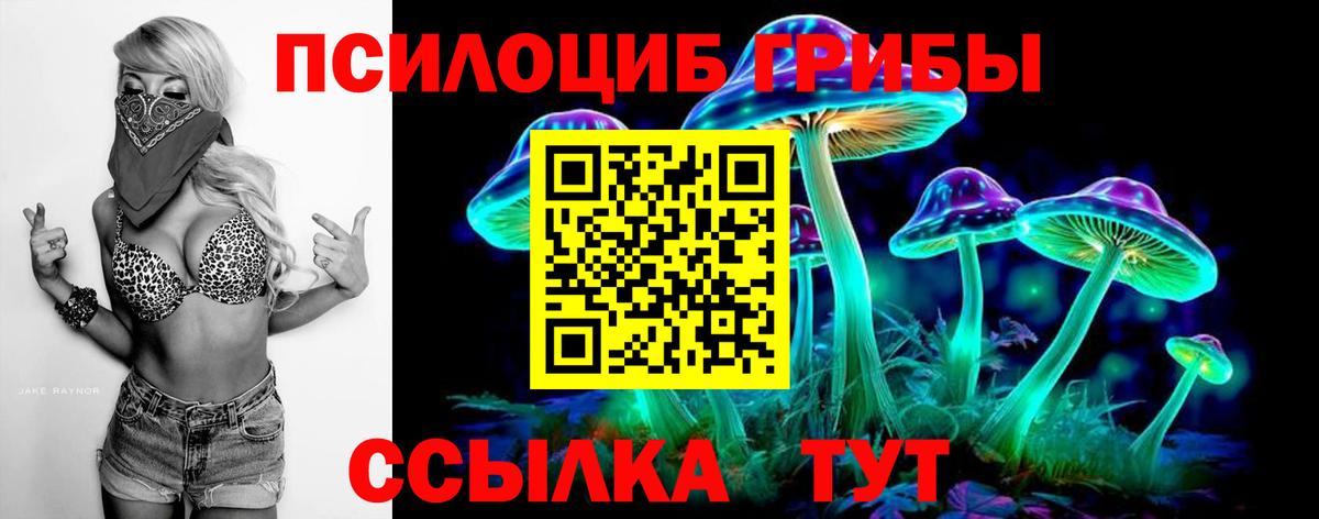 Аргун  Галлюциногенные грибы GOLDEN TEACHER  Вход с VPN 